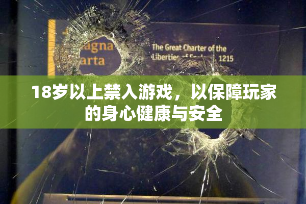 18岁以上禁入游戏，以保障玩家的身心健康与安全
