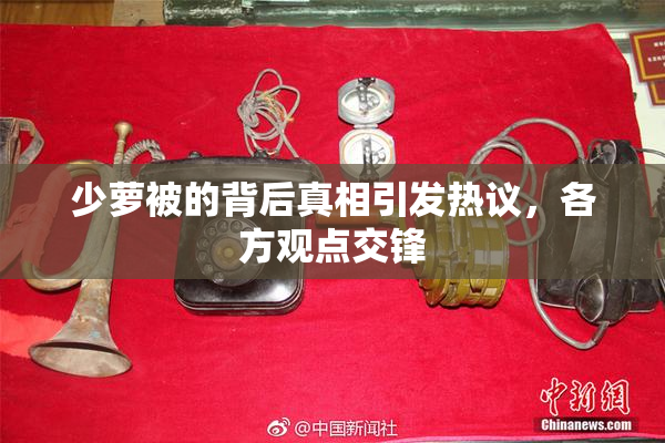 少萝被的背后真相引发热议，各方观点交锋