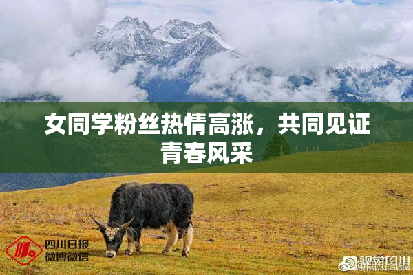 女同学粉丝热情高涨，共同见证青春风采