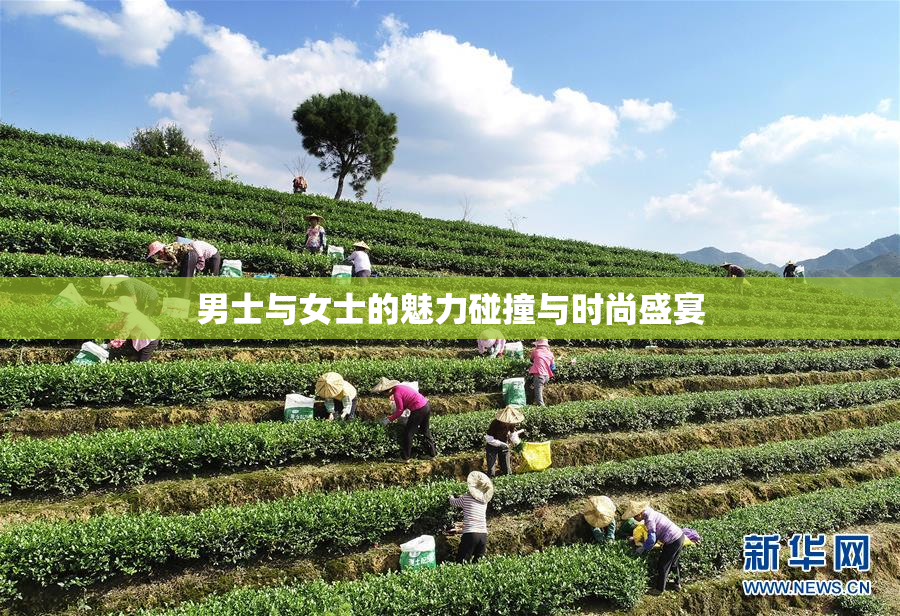男士与女士的魅力碰撞与时尚盛宴