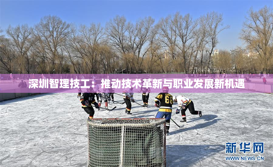 深圳智理技工：推动技术革新与职业发展新机遇