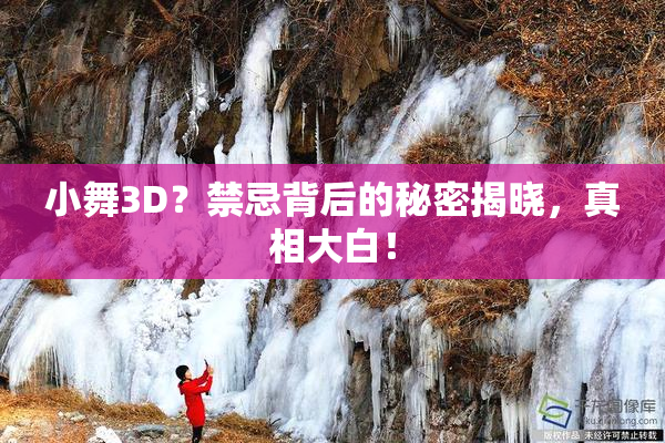 小舞3D？禁忌背后的秘密揭晓，真相大白！