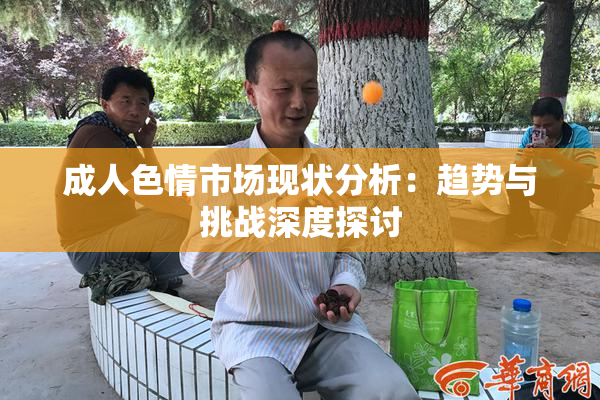 成人色情市场现状分析：趋势与挑战深度探讨