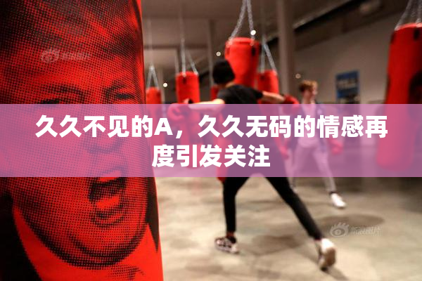 久久不见的A，久久无码的情感再度引发关注