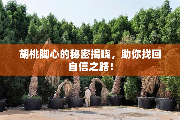 胡桃脚心的秘密揭晓，助你找回自信之路！