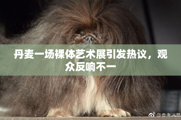 丹麦一场裸体艺术展引发热议，观众反响不一