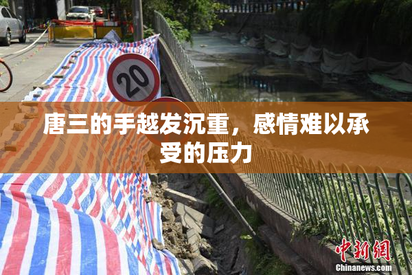 唐三的手越发沉重，感情难以承受的压力