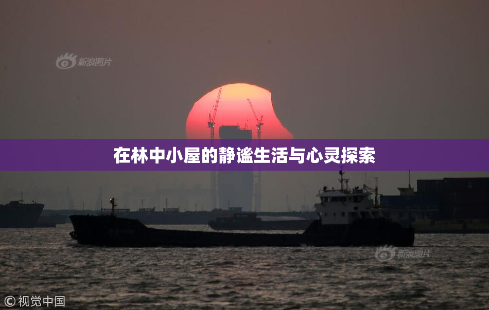 在林中小屋的静谧生活与心灵探索