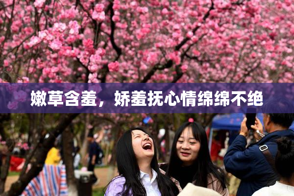 嫩草含羞，娇羞抚心情绵绵不绝