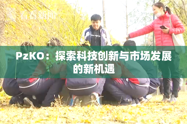 PzKO：探索科技创新与市场发展的新机遇