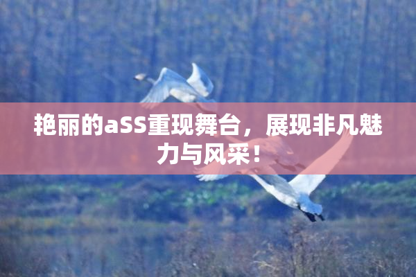 艳丽的aSS重现舞台，展现非凡魅力与风采！