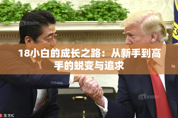18小白的成长之路：从新手到高手的蜕变与追求