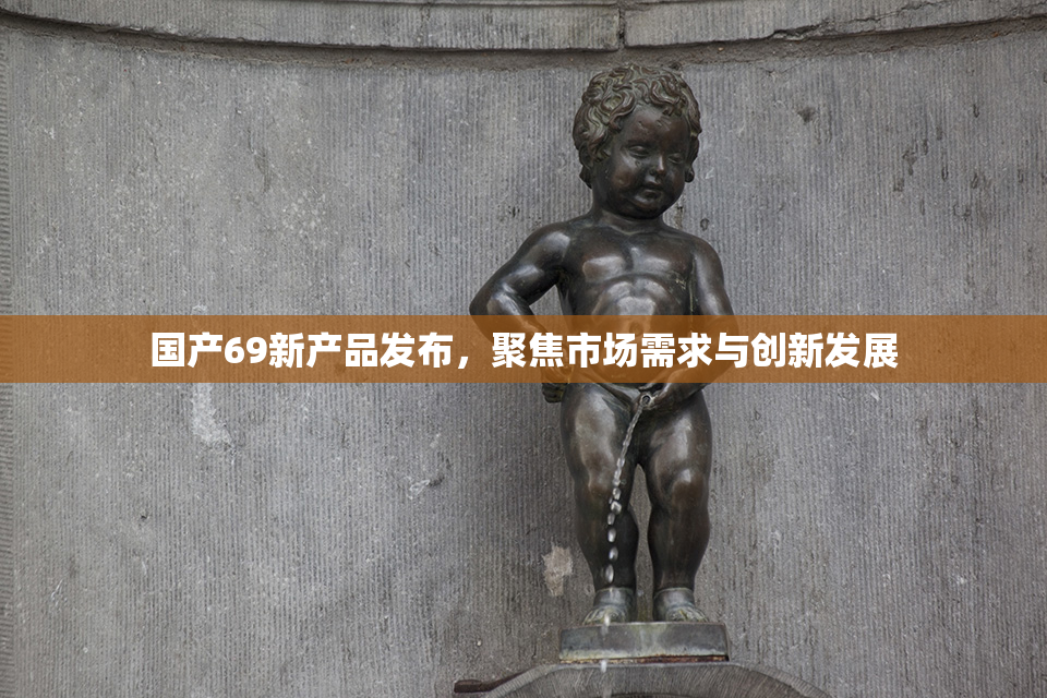 国产69新产品发布，聚焦市场需求与创新发展