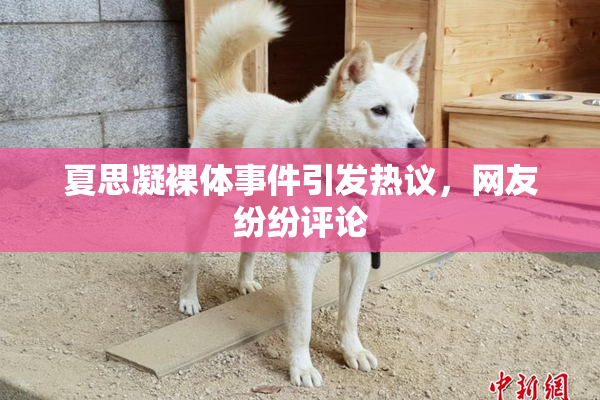 夏思凝裸体事件引发热议，网友纷纷评论