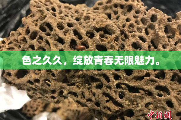 色之久久，绽放青春无限魅力。