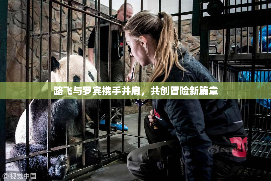 路飞与罗宾携手并肩，共创冒险新篇章