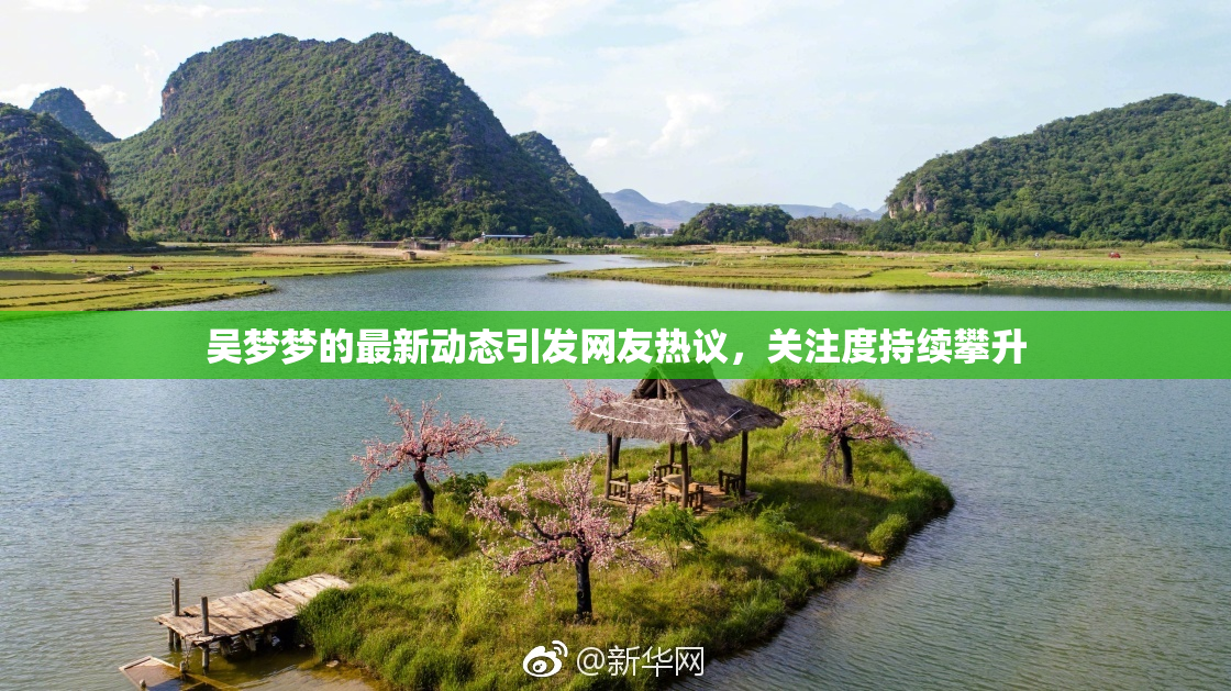 吴梦梦的最新动态引发网友热议，关注度持续攀升