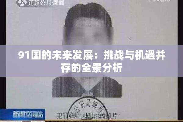 91国的未来发展：挑战与机遇并存的全景分析