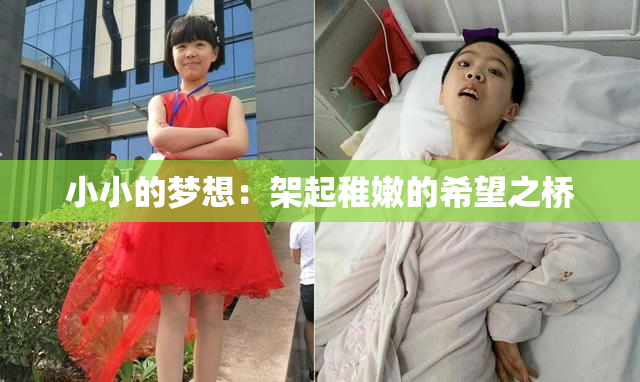 小小的梦想：架起稚嫩的希望之桥