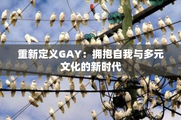 重新定义GAY：拥抱自我与多元文化的新时代