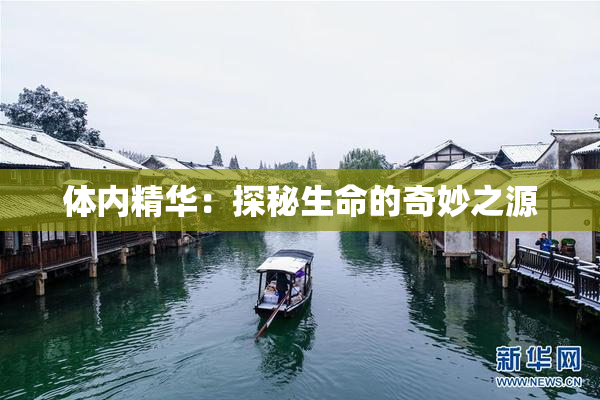 体内精华：探秘生命的奇妙之源