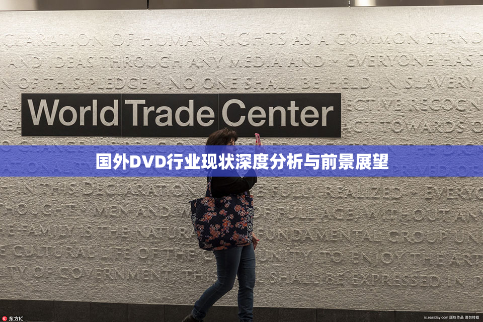 国外DVD行业现状深度分析与前景展望