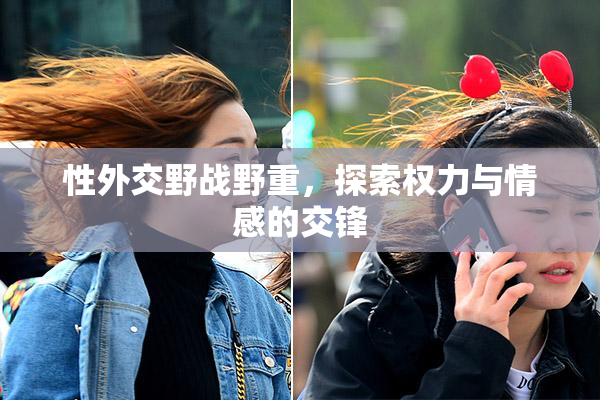性外交野战野重，探索权力与情感的交锋