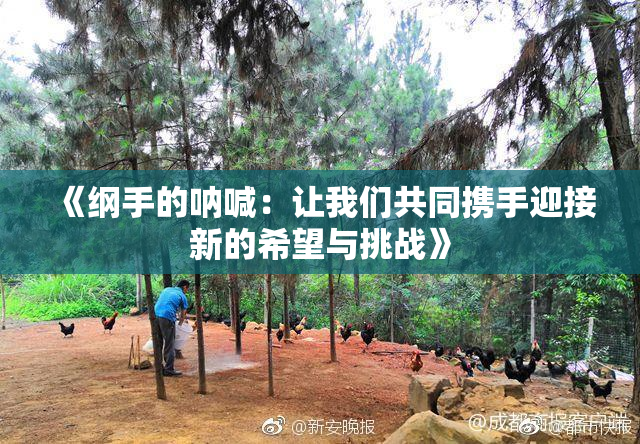《纲手的呐喊：让我们共同携手迎接新的希望与挑战》