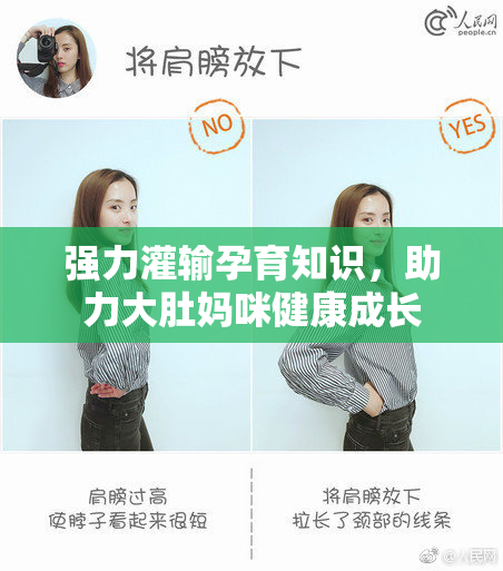 强力灌输孕育知识，助力大肚妈咪健康成长