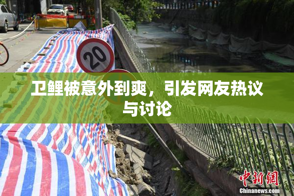 卫鲤被意外到爽，引发网友热议与讨论