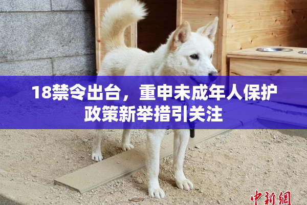 18禁令出台，重申未成年人保护政策新举措引关注