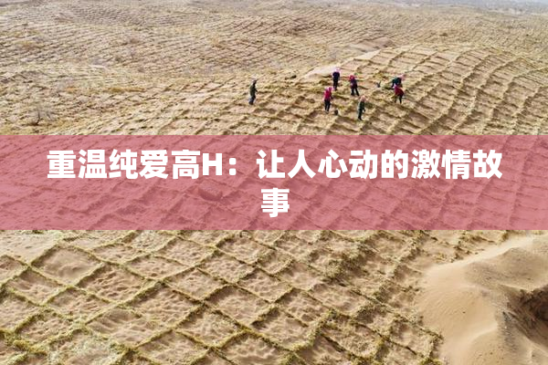 重温纯爱高H：让人心动的激情故事