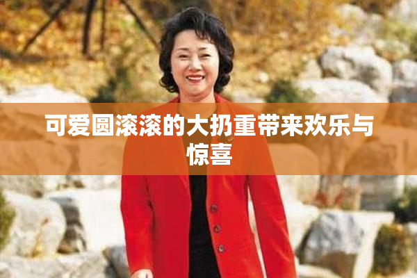 可爱圆滚滚的大扔重带来欢乐与惊喜