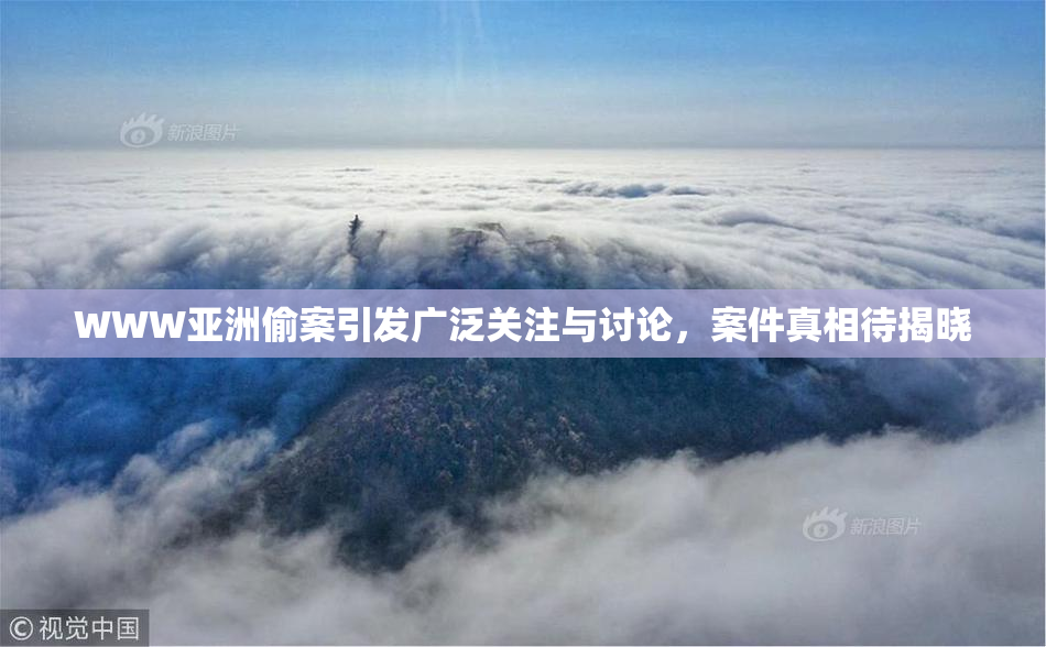 WWW亚洲偷案引发广泛关注与讨论，案件真相待揭晓