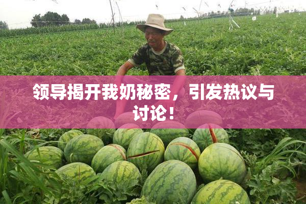 领导揭开我奶秘密，引发热议与讨论！