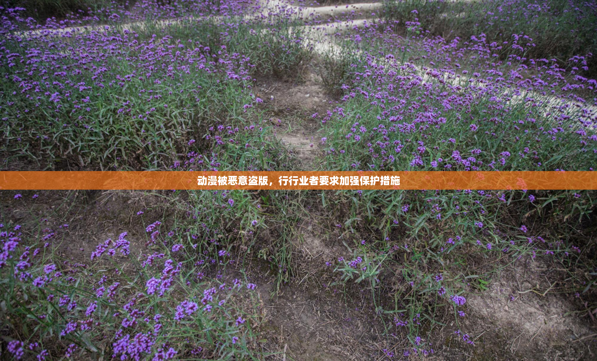 动漫被恶意盗版，行行业者要求加强保护措施