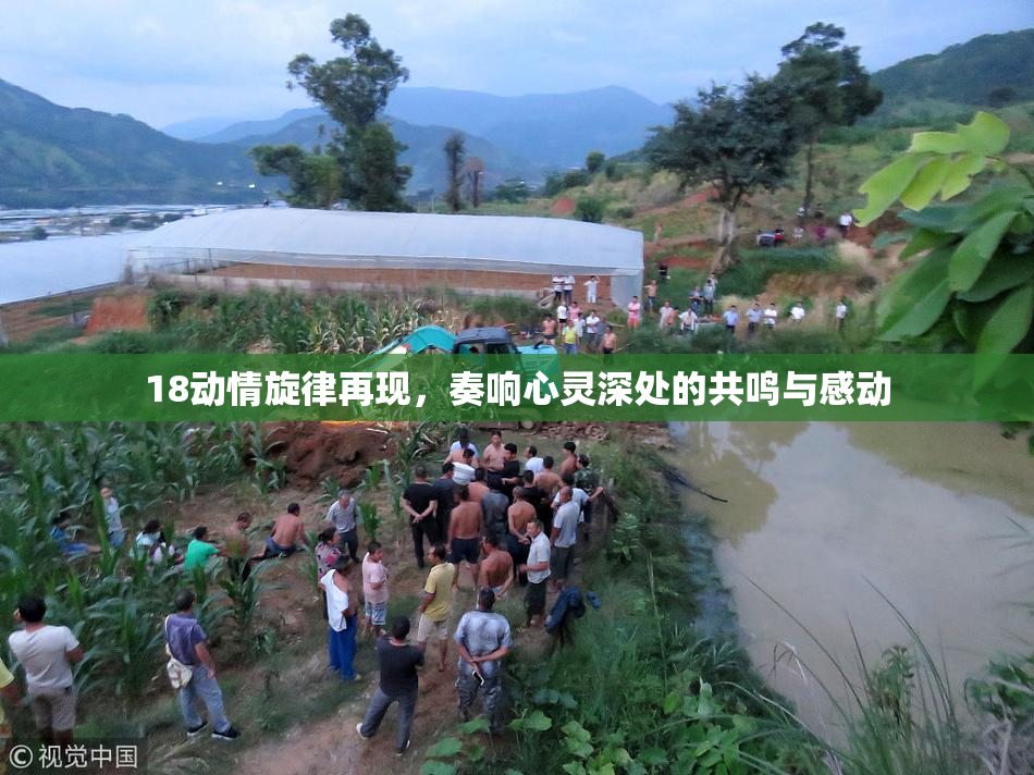 18动情旋律再现，奏响心灵深处的共鸣与感动