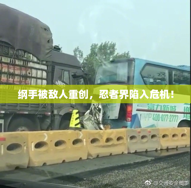 纲手被敌人重创，忍者界陷入危机！