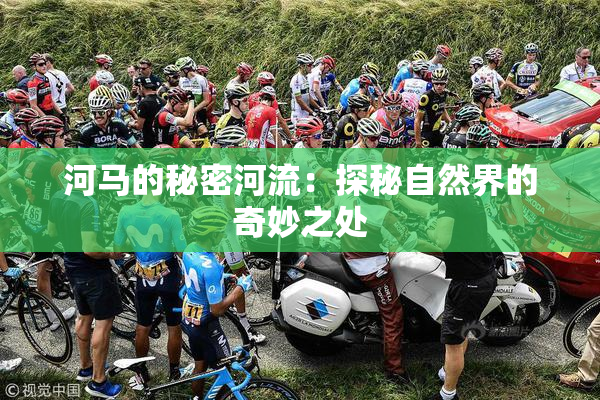 河马的秘密河流：探秘自然界的奇妙之处
