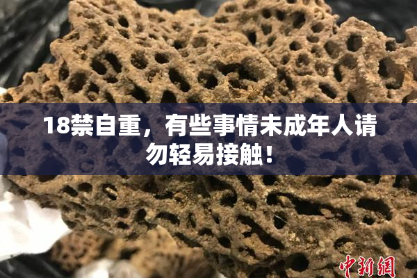 18禁自重，有些事情未成年人请勿轻易接触！