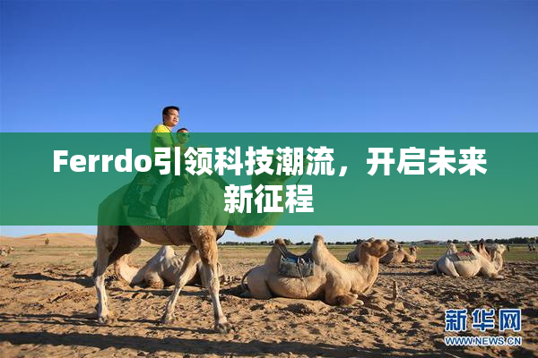 Ferrdo引领科技潮流，开启未来新征程