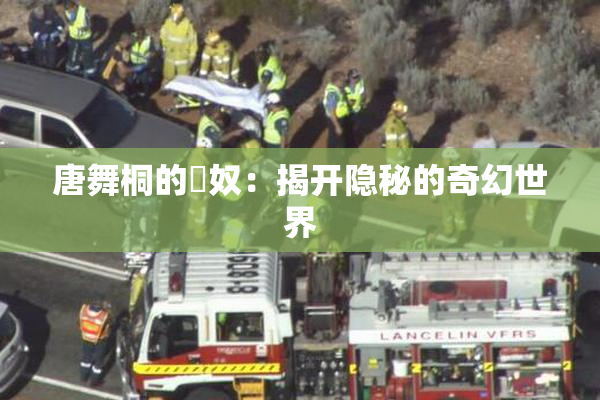唐舞桐的婬奴：揭开隐秘的奇幻世界