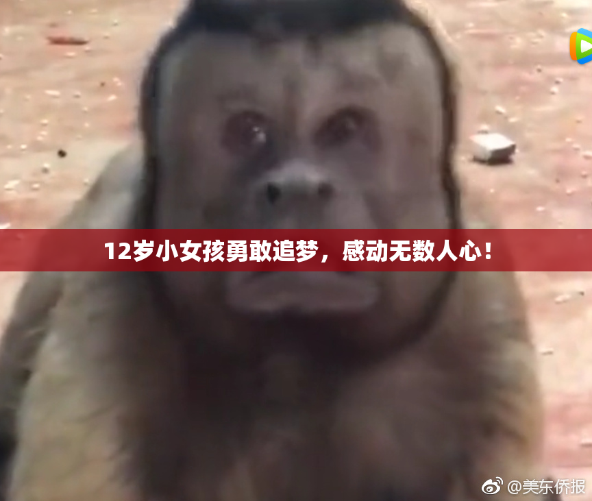 12岁小女孩勇敢追梦，感动无数人心！