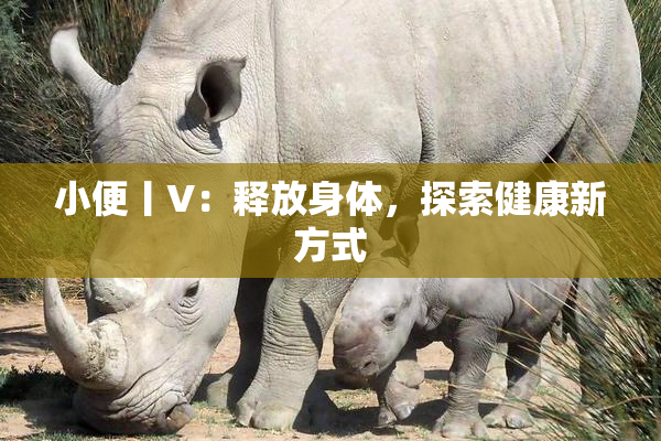 小便丨V：释放身体，探索健康新方式