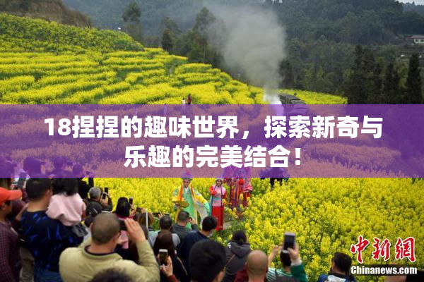 18捏捏的趣味世界，探索新奇与乐趣的完美结合！