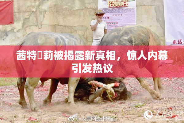 茜特菈莉被揭露新真相，惊人内幕引发热议