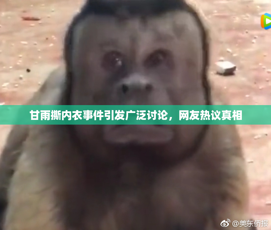 甘雨撕内衣事件引发广泛讨论，网友热议真相