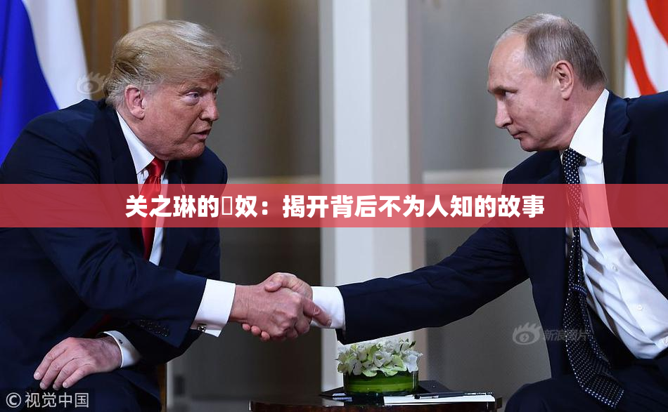 关之琳的婬奴：揭开背后不为人知的故事
