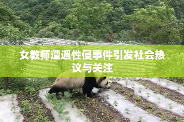 女教师遭遇性侵事件引发社会热议与关注