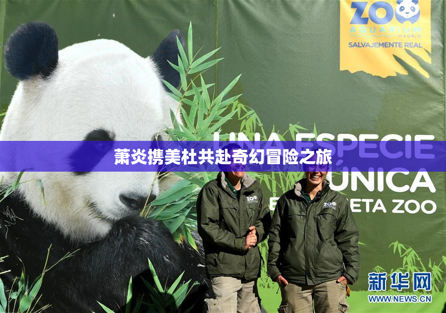 萧炎携美杜共赴奇幻冒险之旅